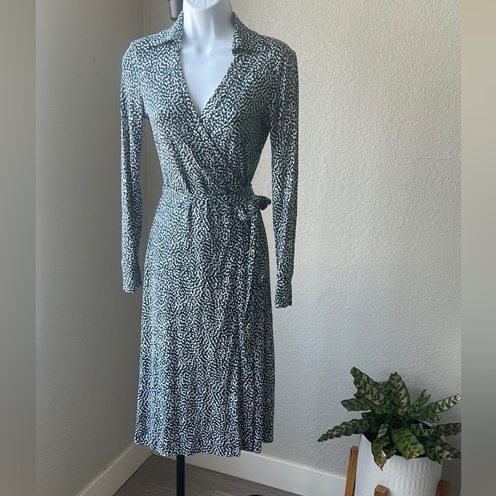 Diane Von Furstenberg Wrap Dress 2